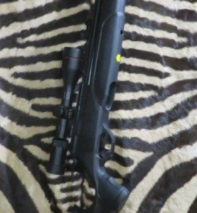 Carabine PCP GAMO Arrow cal.5.5mm - lunette 3-12x50i
