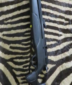 Carabine PCP GAMO Arrow cal.4.5mm