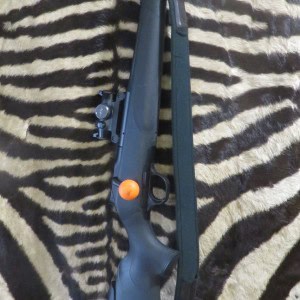 Carabine BLASER R8 Chien de Sang cal.9,3x62 canon 50 cm - point rouge Blaser RD17