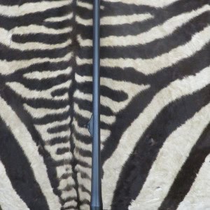 Canon BLASER R93 cal.300wm avec chargeur