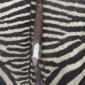 Express VOUZELAUD Light cal.8x57jrs canons 60 cm - point rouge Docter