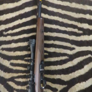 Carabine BROWNING T-Bolt Sporter cal.22lr canon 56 cm - lunette - silencieux