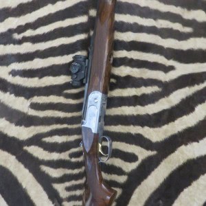 Express FAIR Safari cal.9,3x74R canons 55cm - point rouge Aimpoint Micro H2 4moa