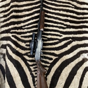 REMINGTON Pompe Mod.7600 35 WEHLEN - ca.56cm - Tasco pro point